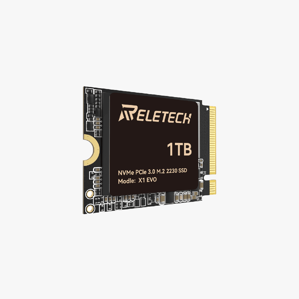 Reletech X1 EVO M.2 2230 PCle Gen3x4 NVMe SSD - Reletech AI Vision