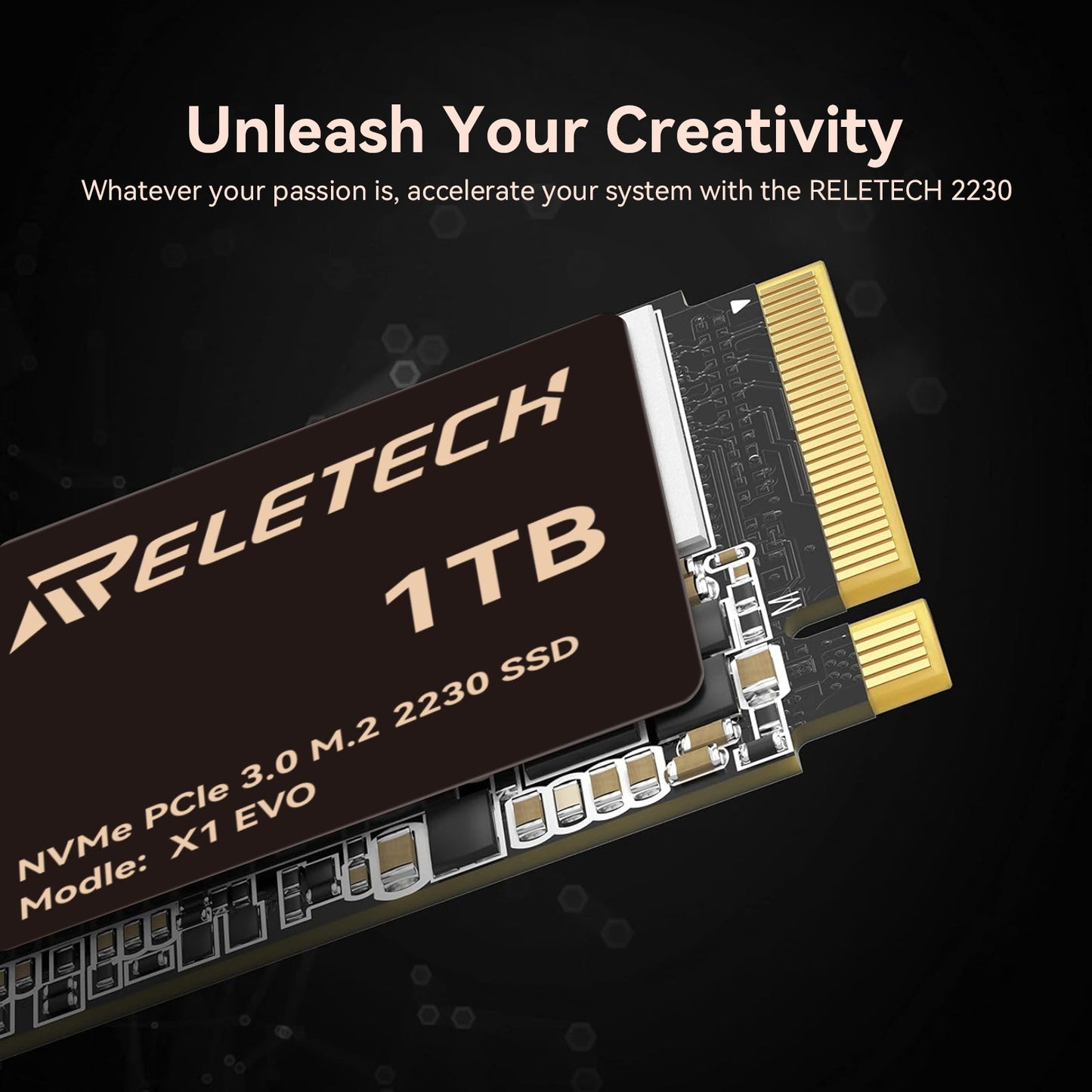 Reletech X1 EVO M.2 2230 PCle Gen3x4 NVMe SSD - Reletech AI Vision