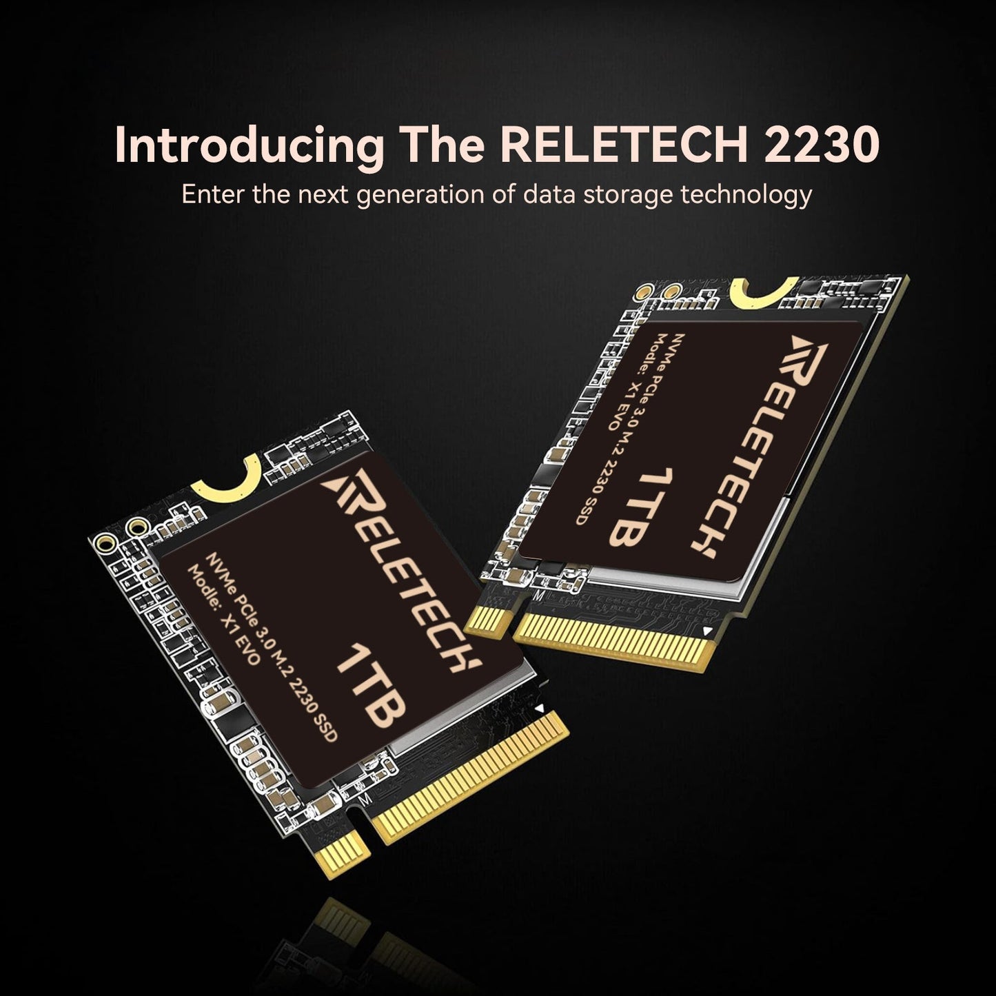 Reletech X1 EVO M.2 2230 PCle Gen3x4 NVMe SSD - Reletech AI Vision