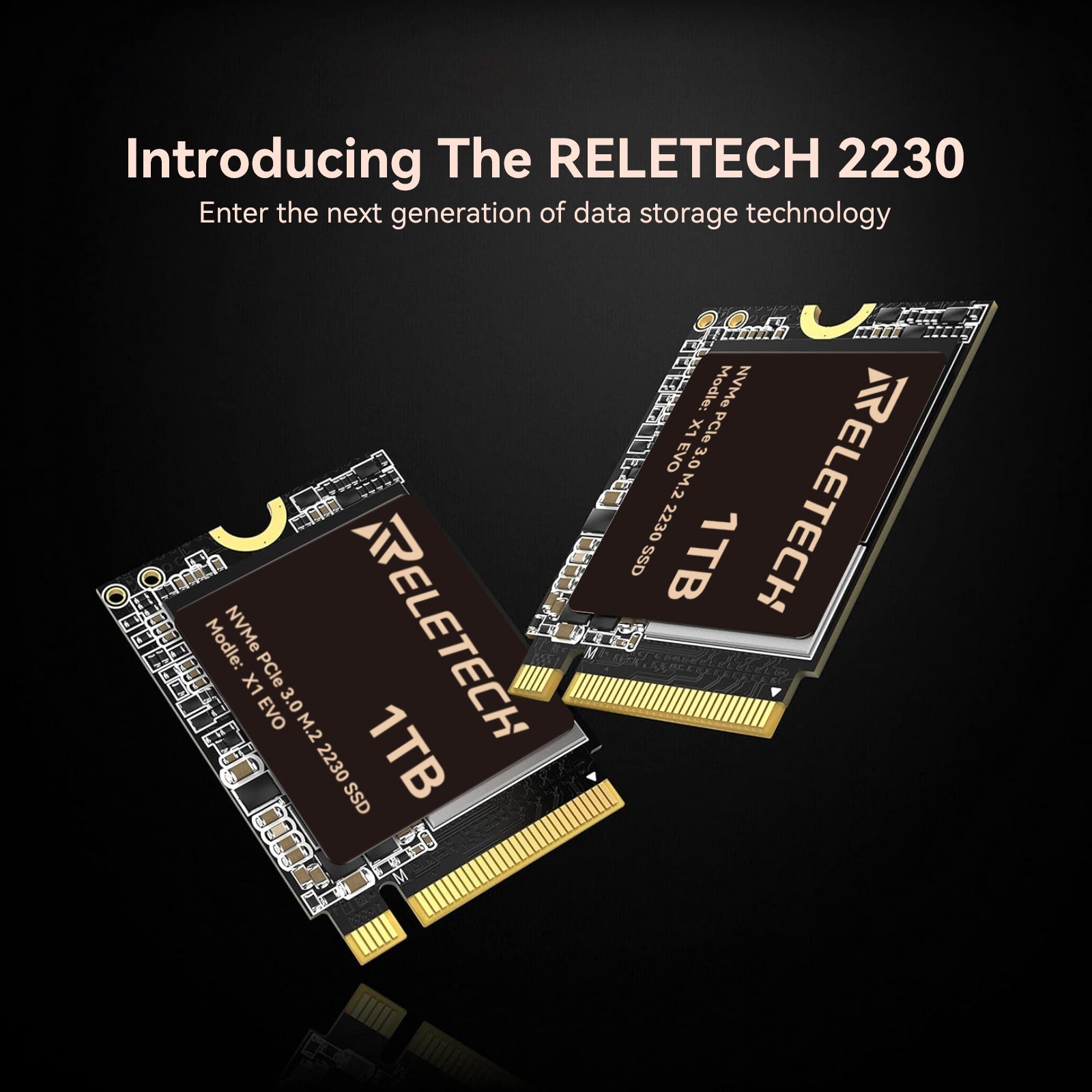 Reletech X1 EVO M.2 2230 PCle Gen3x4 NVMe SSD - Reletech AI Vision
