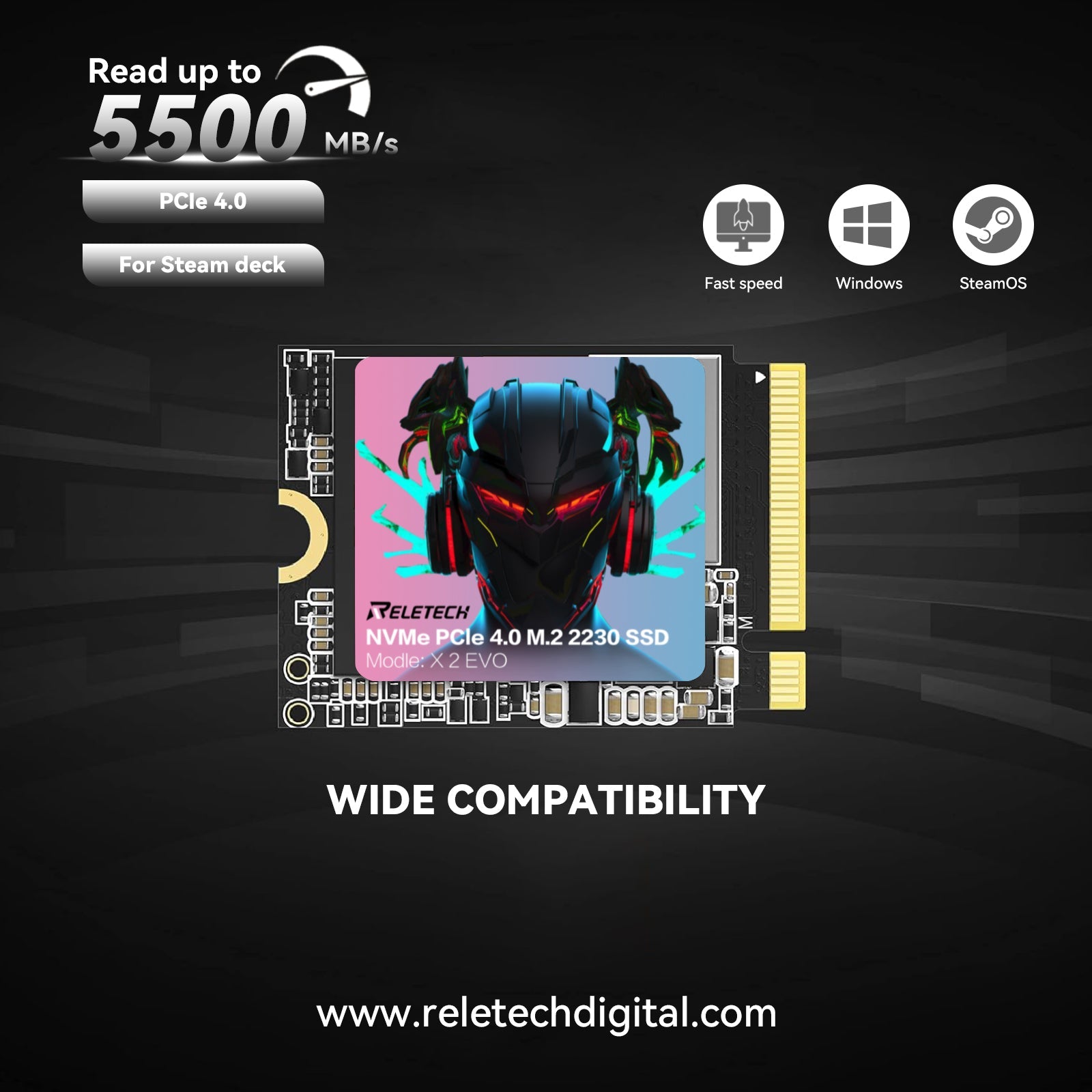 Reletech X2 EVO M.2 2230 PCle Gen4x4 NVMe SSD - Reletech AI Vision