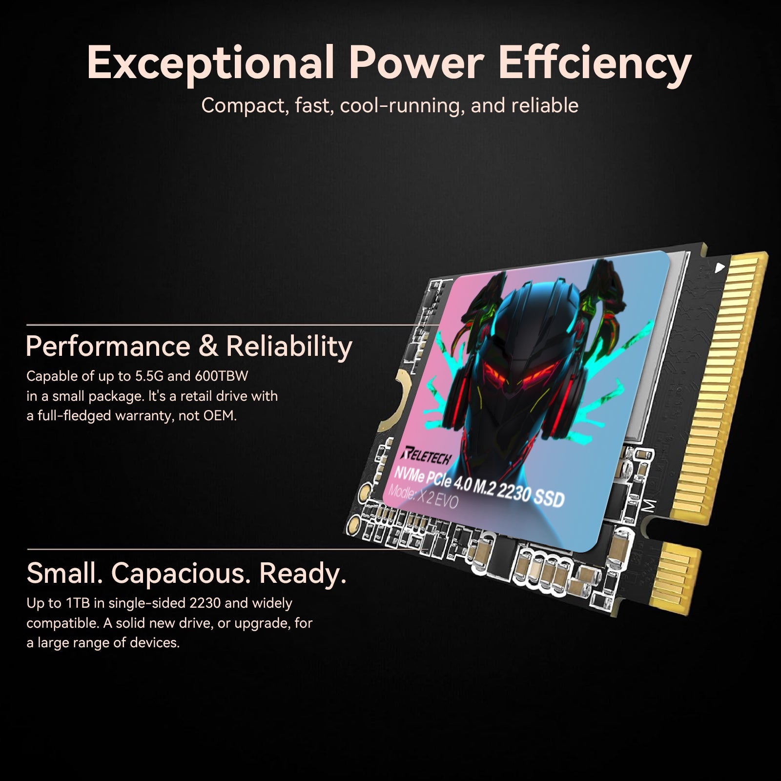 Reletech X2 EVO M.2 2230 PCle Gen4x4 NVMe SSD - Reletech AI Vision