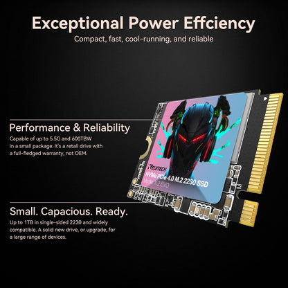 Reletech X2 EVO M.2 2230 PCle Gen4x4 NVMe SSD - Reletech AI Vision