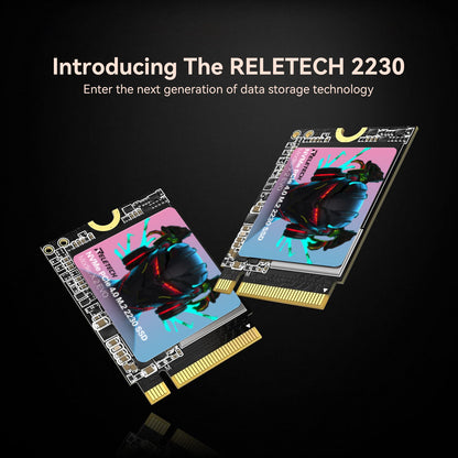 Reletech X2 EVO M.2 2230 PCle Gen4x4 NVMe SSD - Reletech AI Vision